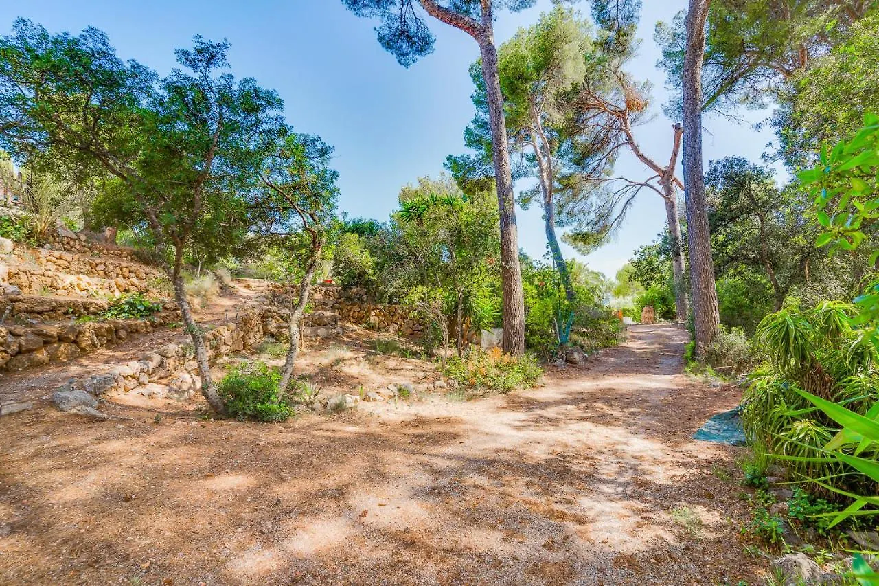 Ses Alzines Apartment - Costa De Los Pinos